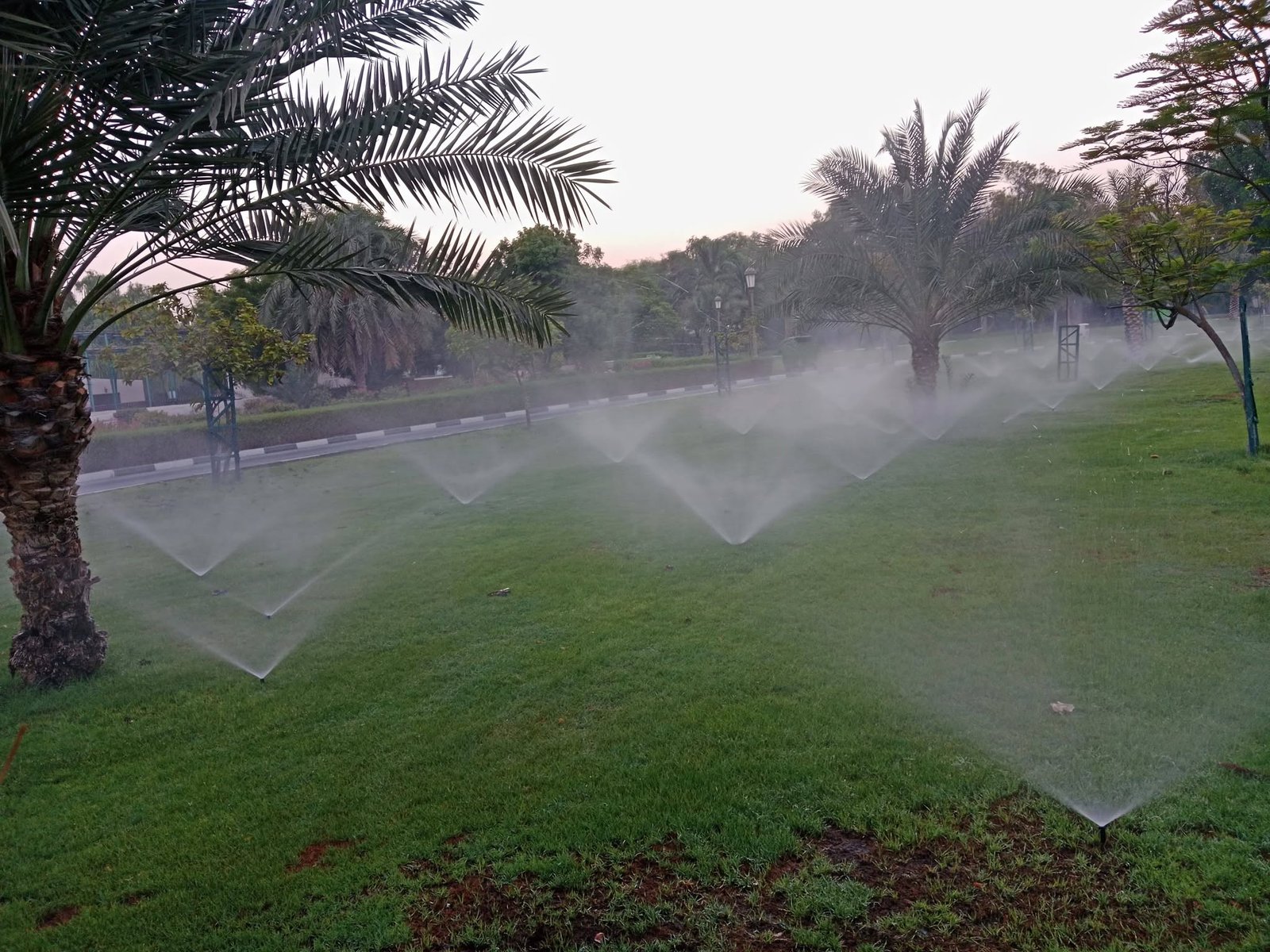 Automatic sprinkler system watering a large landscaped lawn at dusk